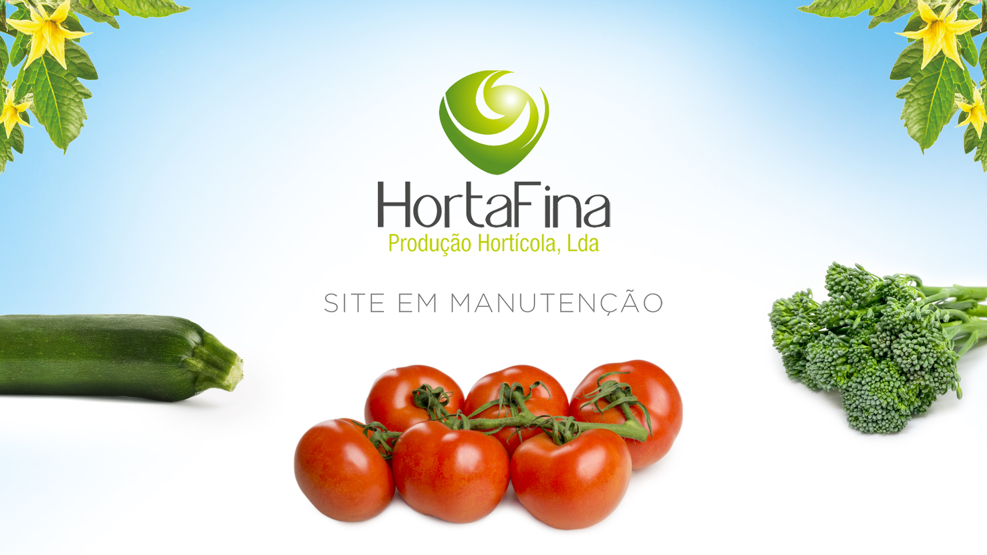 HortaFina - Produ&ccedil;&atilde;o Hort&iacute;cola, Lda. Site em manuten&ccedil;&atilde;o.